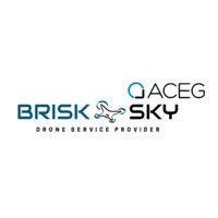 brisksky l drone experts logo image