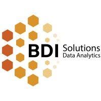 bdi solutions logo image