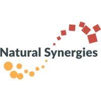 natural synergies, inc. logo image