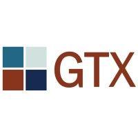 gtx consulting logo image