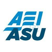 aei executive council at asu