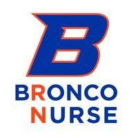 boise state university school of nursing