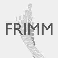 frimm s.p.a. logo image