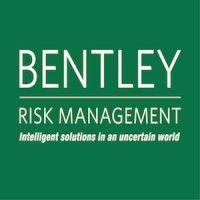 bentley risk management international limited logo image