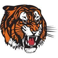 medicine hat tigers