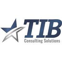 tib consulting solutions