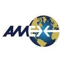 amex international inc. logo image