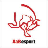 aab esport logo image