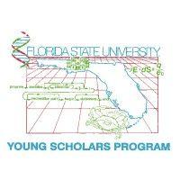 florida state university young scholars program