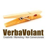 verbavolant logo image