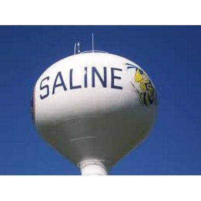 Saline High School logo image