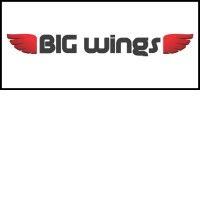 big wings llc logo image