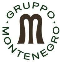 gruppo montenegro logo image