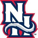 logo of New Hampshire Fisher Cats