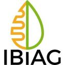 logo of Ibi Ag