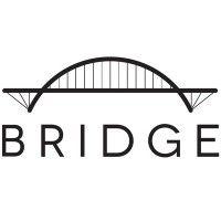 bridge software - consumer credit waterfall/water wheel logo image