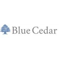 blue cedar partners, llc logo image