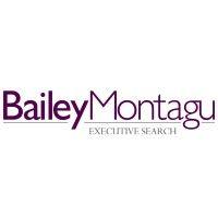 bailey montagu executive search and interim solutions