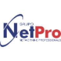 netpro ltda logo image