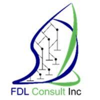 fdl consult inc logo image