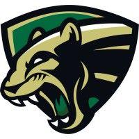 allen d. nease high school logo image