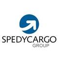 logo of Spedycargo Transitarios Sa