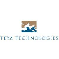 teya technologies, llc logo image