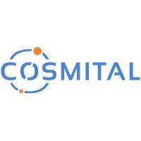 cosmital logo image