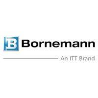 itt bornemann logo image