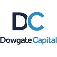 dowgate capital logo image