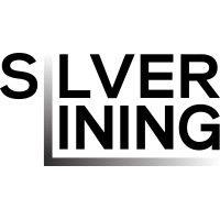 small biz silver lining logo image