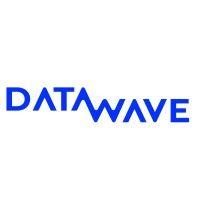 data wave logo image