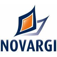 novargi logo image