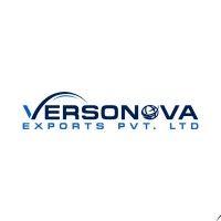 versonova exports logo image