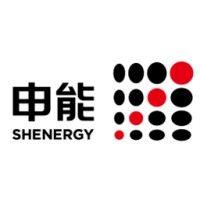 shanghai shenergy icy capital co., ltd. logo image