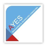 ayes - management & technology consulting logo image