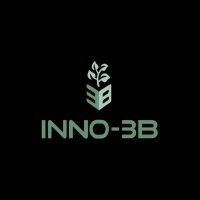 inno-3b logo image