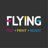 flying logo image