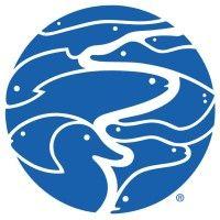 tennessee aquarium logo image