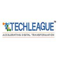 techleague itsol pvt ltd logo image