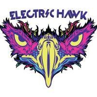 electric hawk logo image