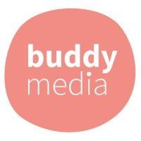 buddy media logo image