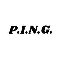 pict ieee newsletter group (p.i.n.g.) logo image