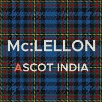 ascot india logo image