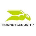 logo of Hornetsecurity