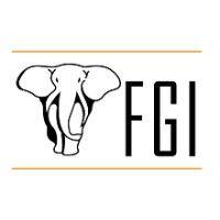 fgi