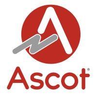 ascot industrial srl logo image