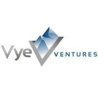 vye ventures, llc