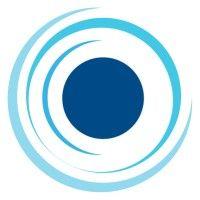 bluesight logo image