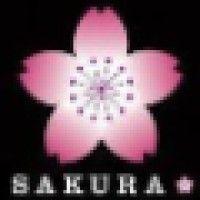 sakura bar & nightclub, reading